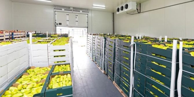 Cold Storage for Fruits and Vegetables