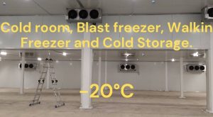 cold room, Blast freezer, walk-in freezer and cold storage